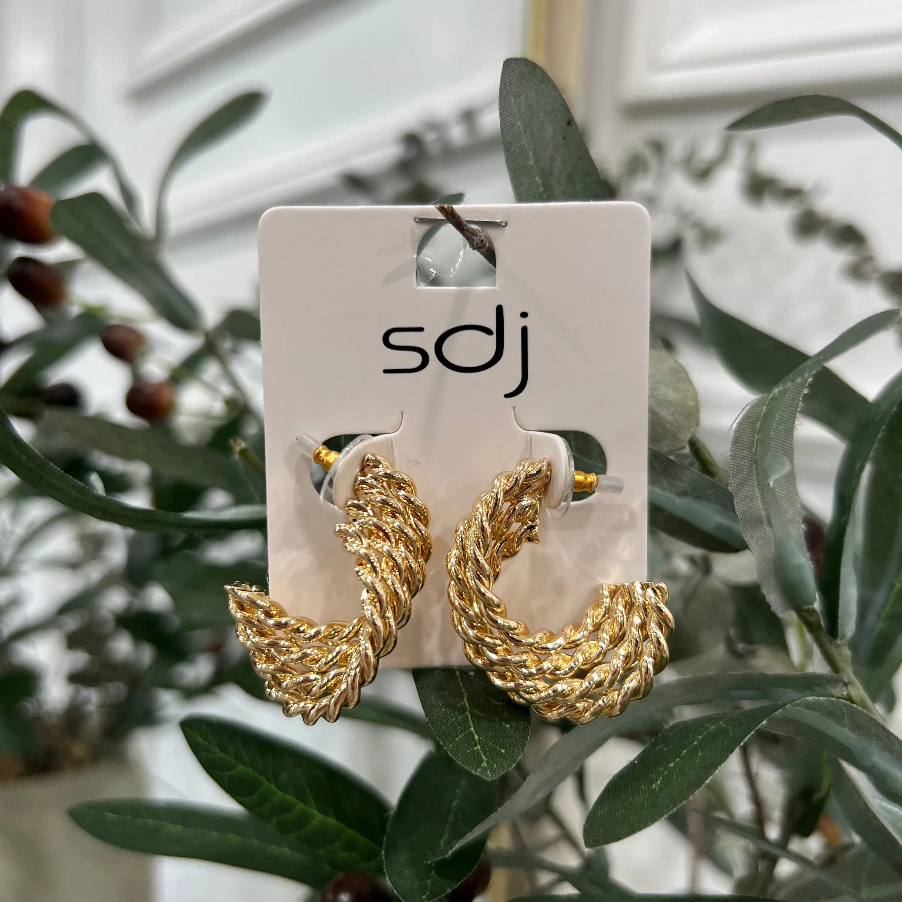 #24 Earrings