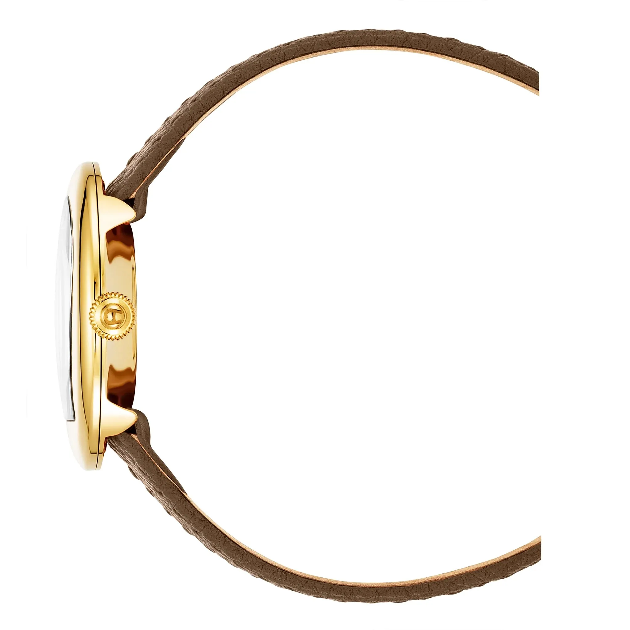Aigner Biella Ladies Gold Dial Brown Leather Strap Watch