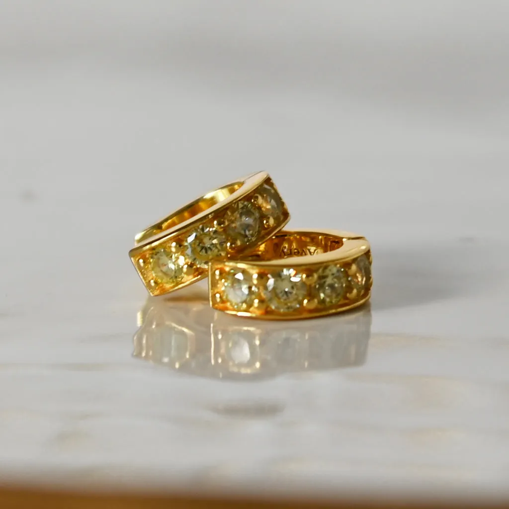 Birthstone Huggie Earrings