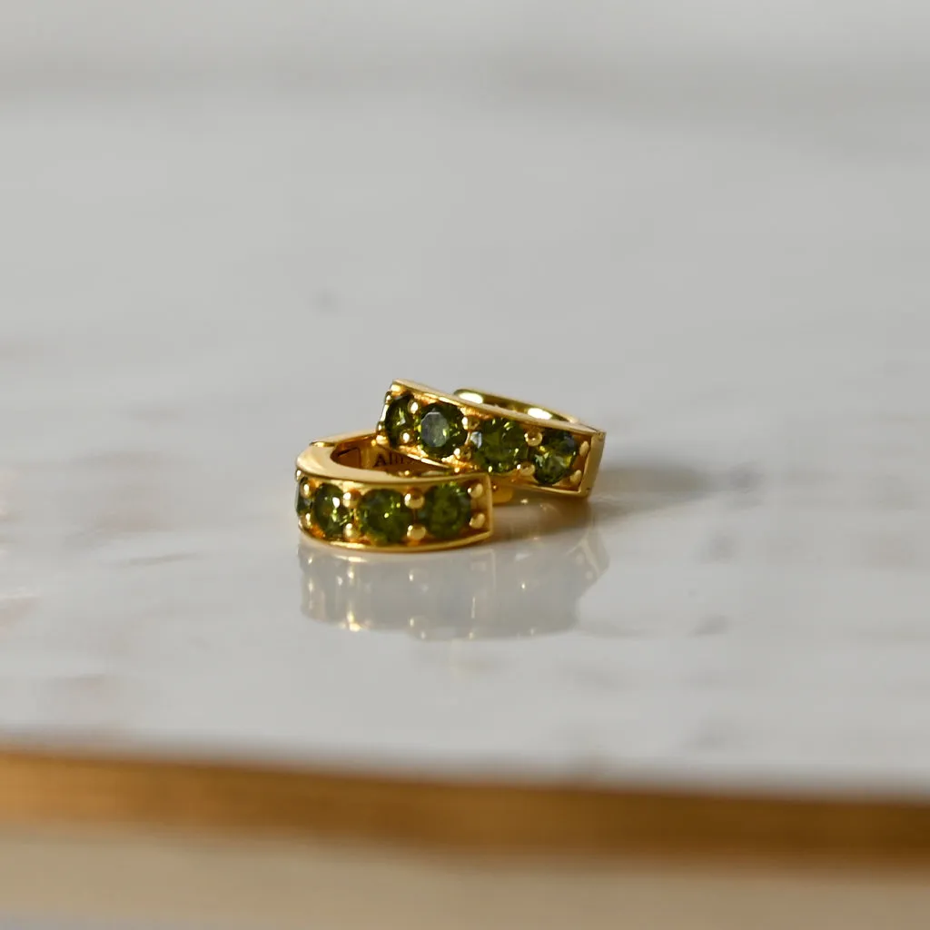 Birthstone Huggie Earrings