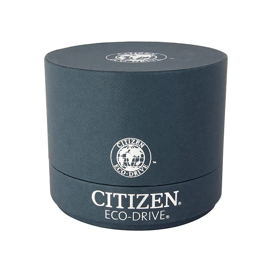 Citizen Eco Drive Black Dial Brown Leather Men's Watch AO9003-08E