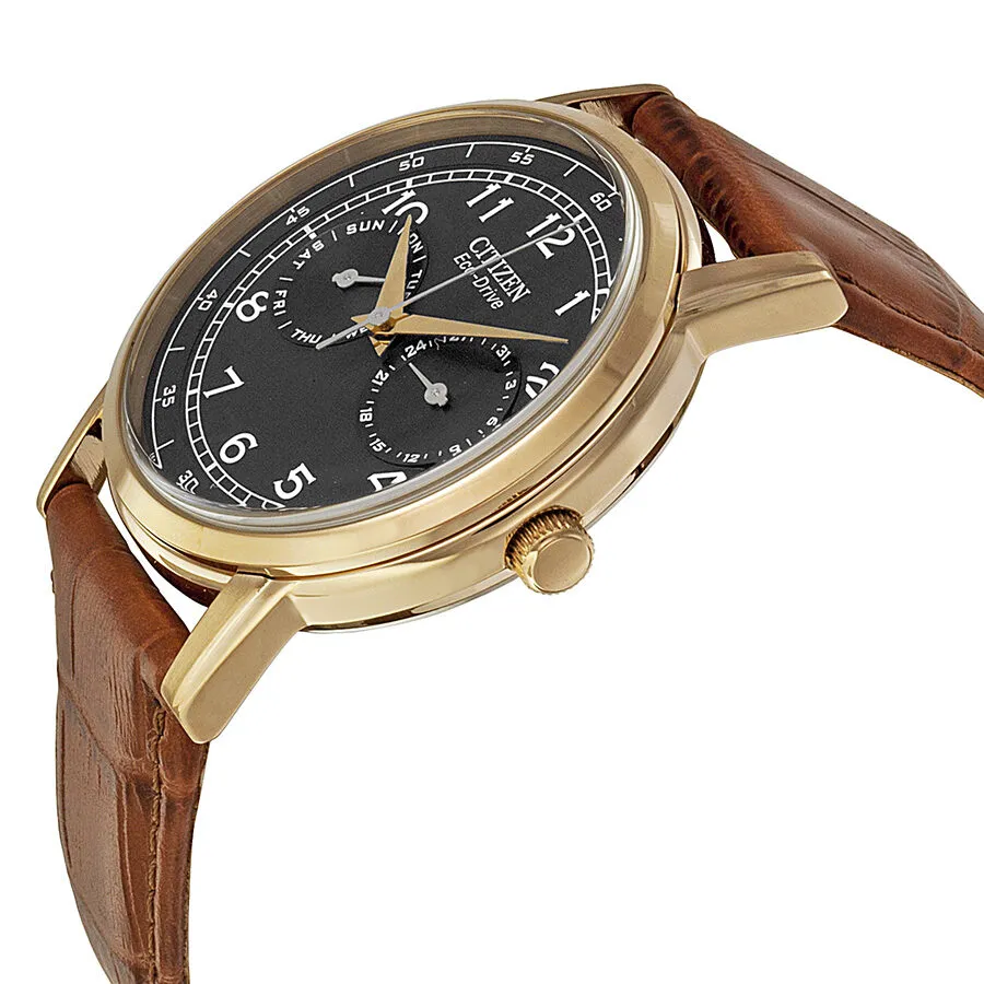 Citizen Eco Drive Black Dial Brown Leather Men's Watch AO9003-08E