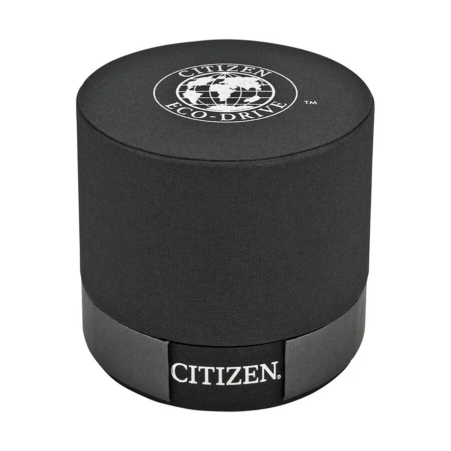 Citizen Eco Drive World Time Grey Dial Two-tone Men's Watch AT9016-56H