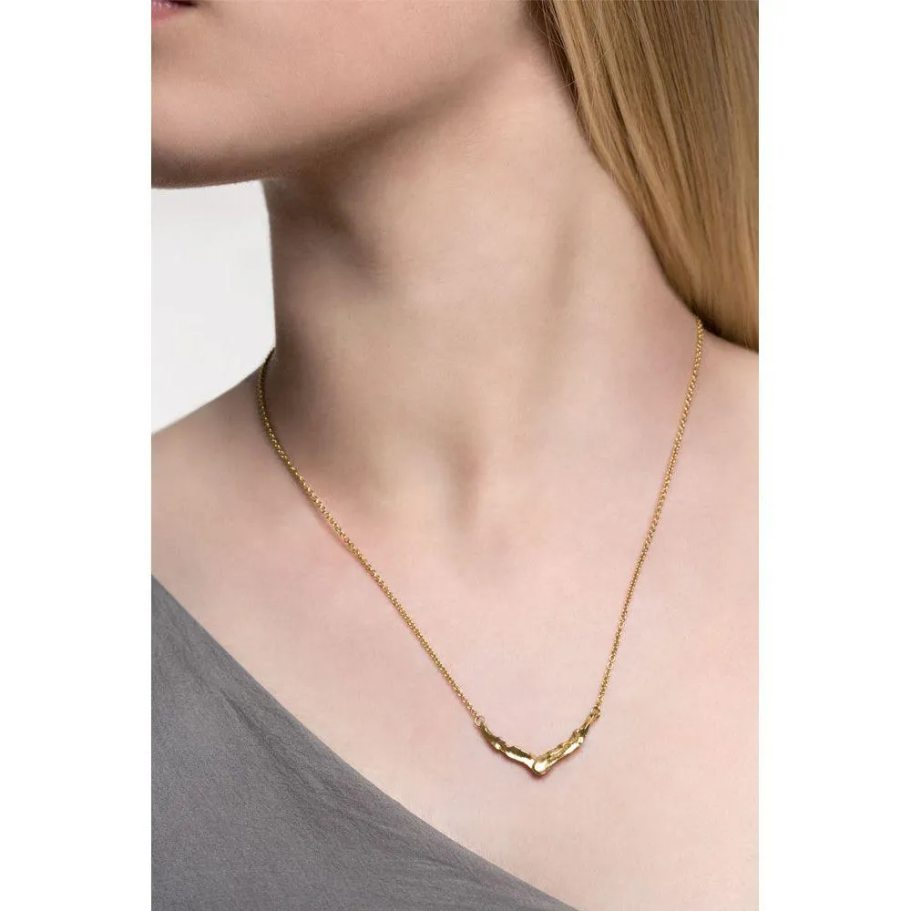 CYGNUS necklace