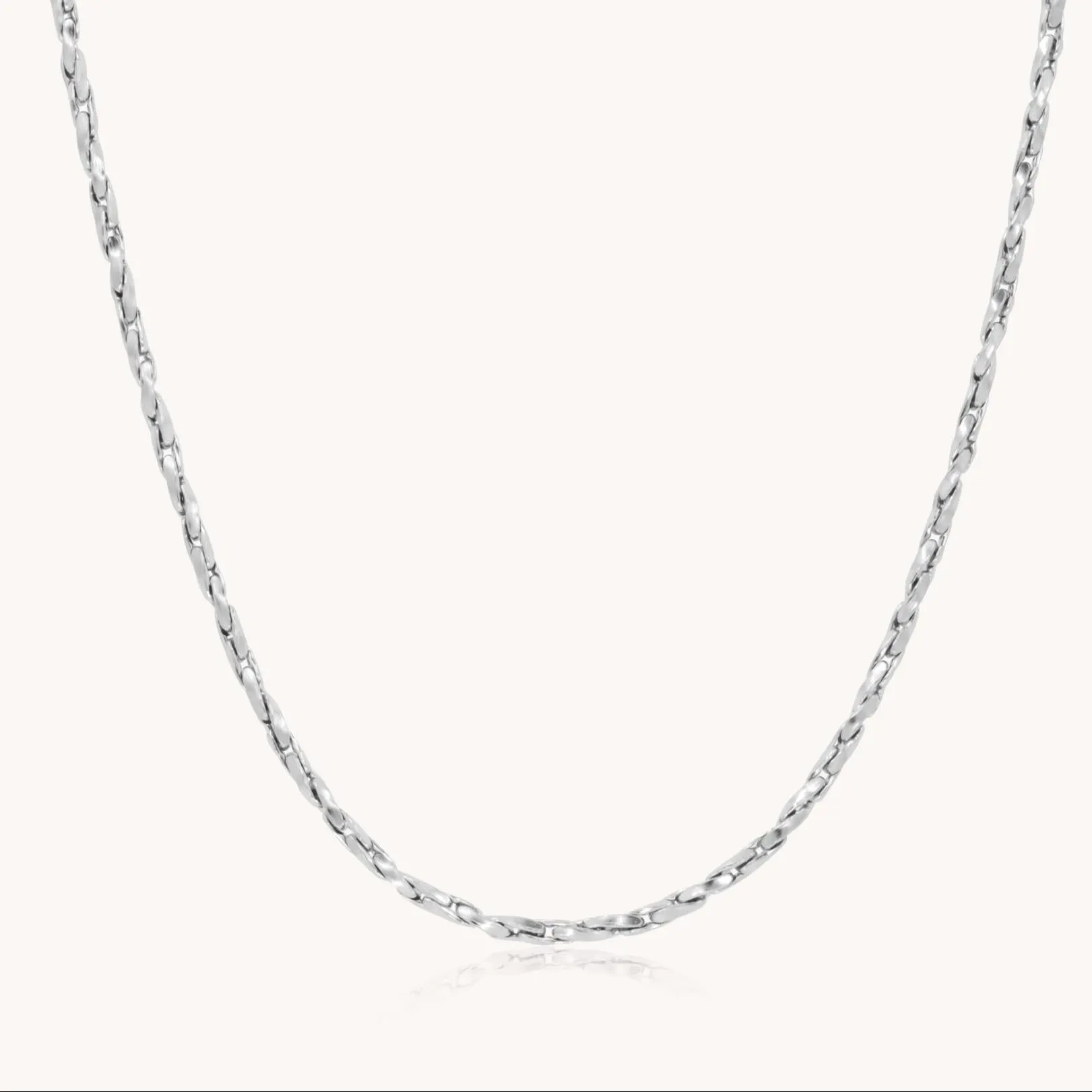 Hallie Twisted Boston Chain Necklace, Silver