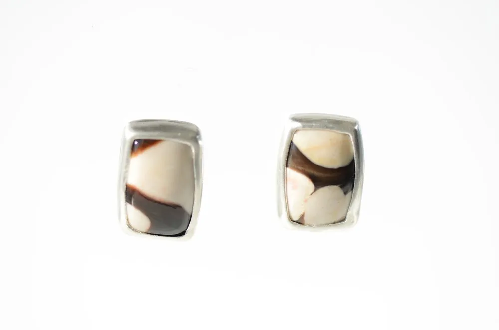 Petrified Wood Earrings