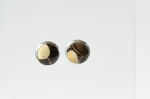 Petrified Wood Earrings