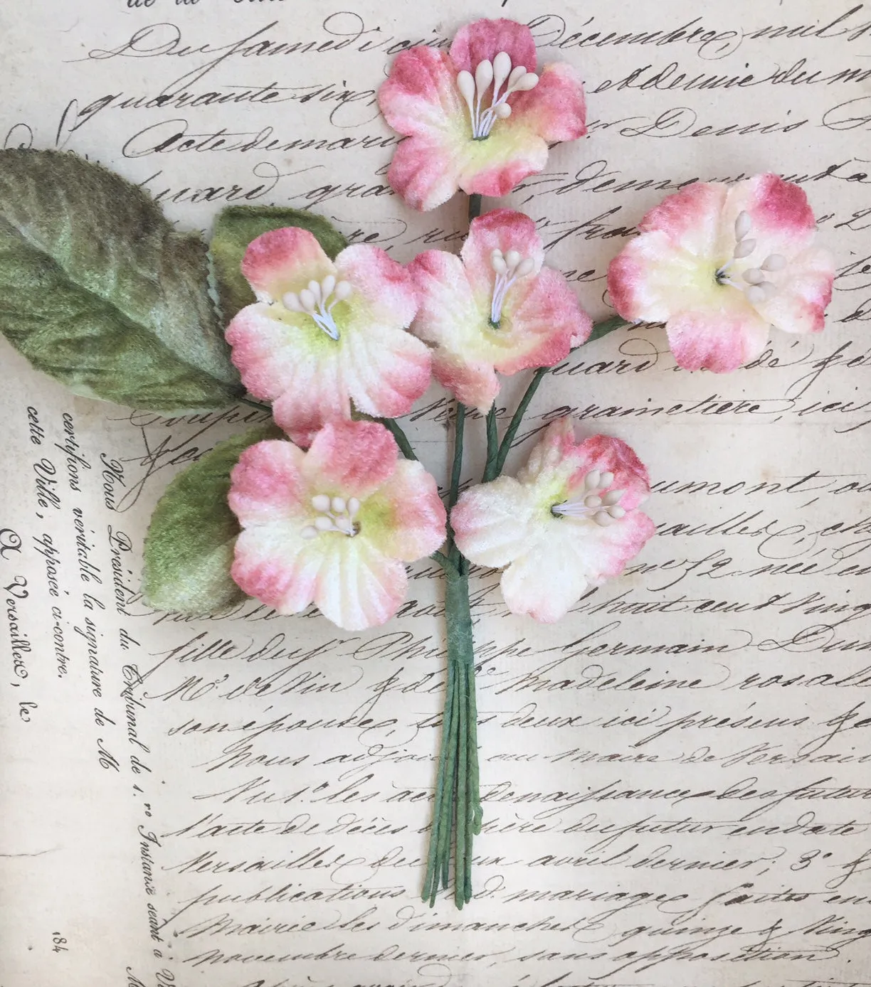 Primrose Posy. Vintage Pink