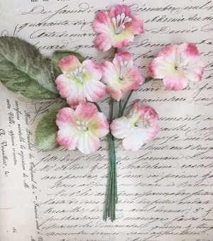 Primrose Posy. Vintage Pink