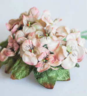 viola posy. Vintage Peach